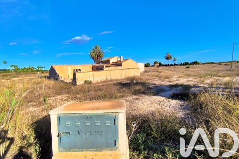 Terreno in vendita a Elche, Alicante, Spagna 44870 mq. N° 152874 - foto 6