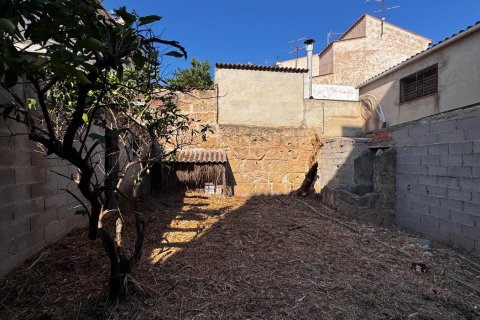 Działka Andratx, Mallorca, Hiszpania 118 mkw. nr 111802 – zdjęcie 3