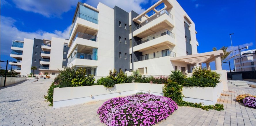 Apartment in Villamartin, Alicante, Spain 2 bedrooms, 75 sq.m. No. 145471