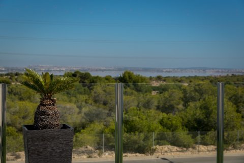 Villa à vendre à Villamartin, Alicante, Espagne, 3 chambres, 162 m2 No. 145473 - photo 6