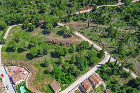 Castles for sale in Aiguafreda, Barcelona, Spain 26210 sq.m. No. 167216 - photo 11