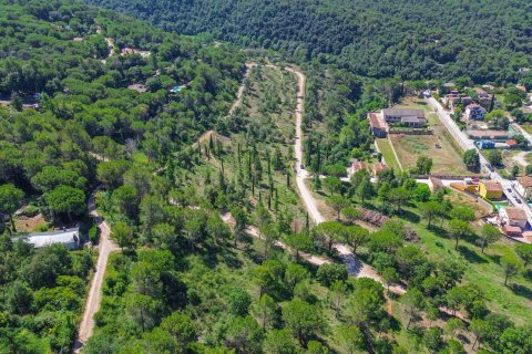 Castles for sale in Aiguafreda, Barcelona, Spain 26210 sq.m. No. 167216 - photo 17