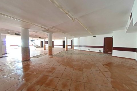 Apartment à vendre à El Prat de Llobregat, Barcelona, Espagne, 550 m2 No. 167210 - photo 14