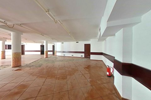 Apartment à vendre à El Prat de Llobregat, Barcelona, Espagne, 550 m2 No. 167210 - photo 15