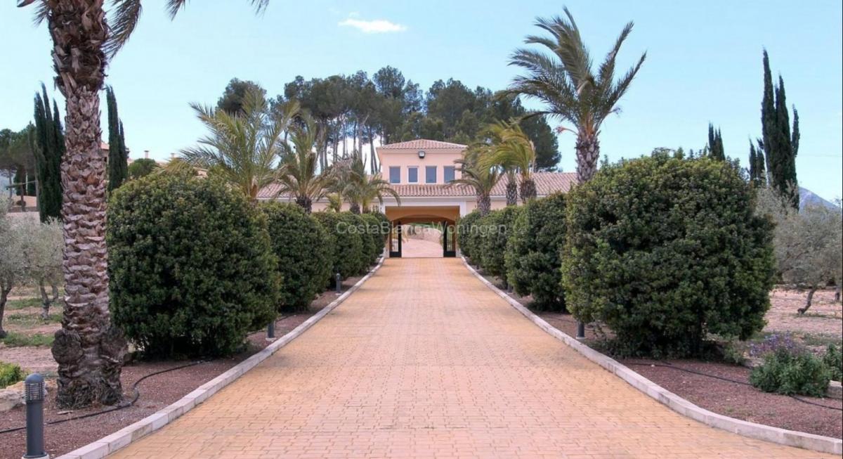 Villa en Penaguila, Alicante, España 6 dormitorios, 1586 m2 No. 98491