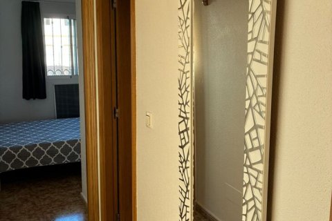 Apartament w Punta Prima, Alicante, Hiszpania 2 sypialnie, nr 147560 – zdjęcie 28