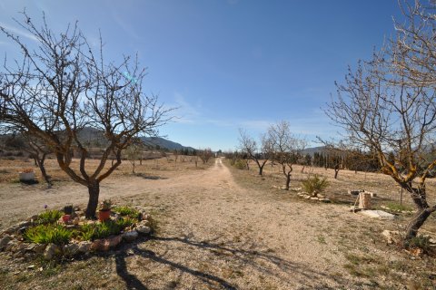 Villa till salu i Salinas, Alicante, Spanien 5 sovrum, 155 kvm. Nr. 154570 - foto 18