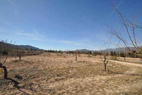 Villa till salu i Salinas, Alicante, Spanien 5 sovrum, 155 kvm. Nr. 154570 - foto 19