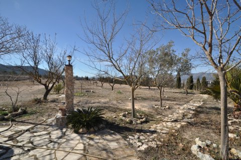 Villa till salu i Salinas, Alicante, Spanien 5 sovrum, 155 kvm. Nr. 154570 - foto 17