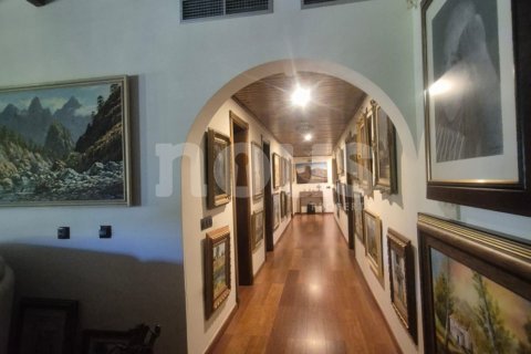 Dom w El Roque, Tenerife, Hiszpania 5 sypialni, 450 mkw. nr 194702 – zdjęcie 18