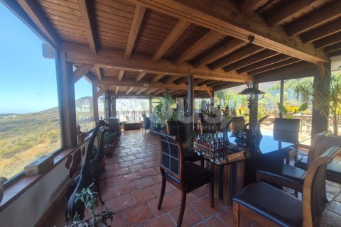 Dom w El Roque, Tenerife, Hiszpania 5 sypialni, 450 mkw. nr 194702 – zdjęcie 16