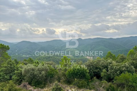 Land plot for sale in Girona, Spain 2209730 sq.m. No. 157822 - photo 5