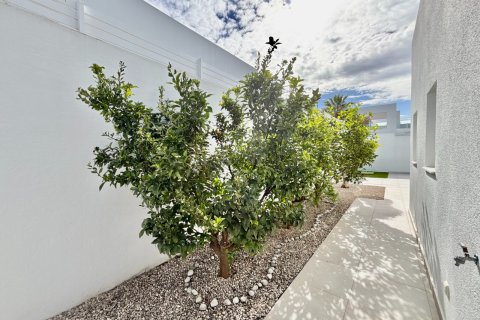Villa pārdošanā Benijofar, Alicante, Spānijā 3 istabas, 124 m2 Nr. 154783 - attēls 28