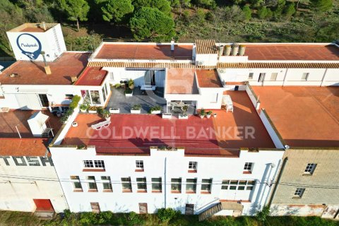 Apartament w El Port De La Selva, Girona, Hiszpania 3 sypialnie, 2009 mkw. nr 160235 – zdjęcie 3