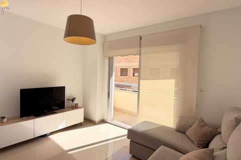 Appartamento in vendita a Torrevieja, Alicante, Spagna 1 camera da letto, 67 mq. N° 183031 - foto 5