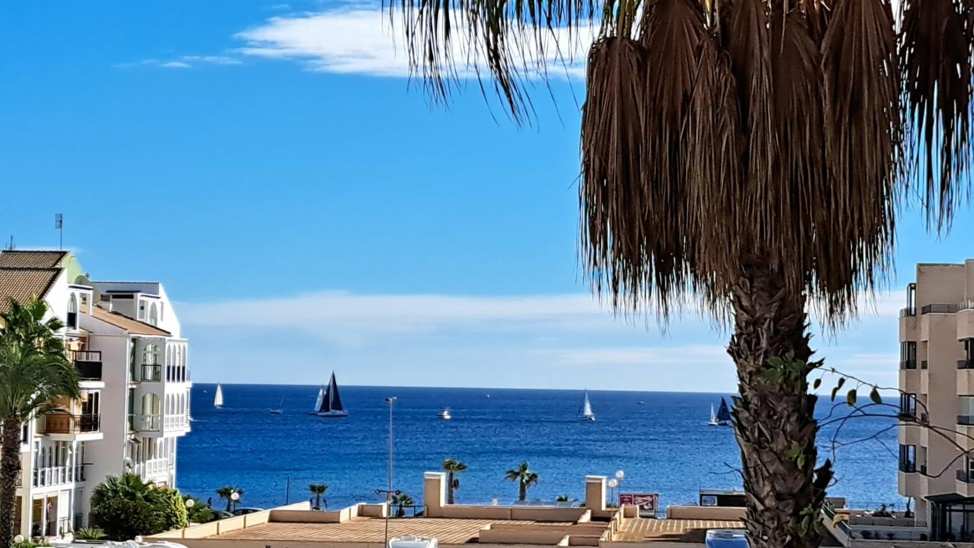 Apartamento en La Veleta, Alicante, España 1 dormitorio, 49 m2 No. 183037