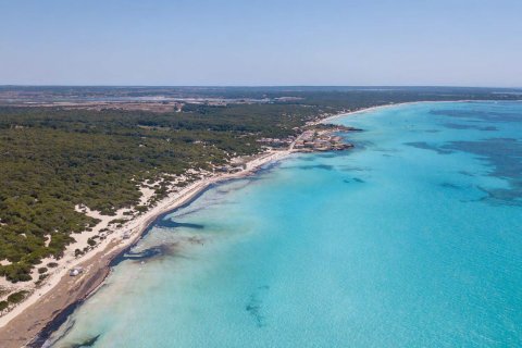 Willa w Mallorca, Hiszpania 4 sypialnie, 532 mkw. nr 180523 – zdjęcie 22