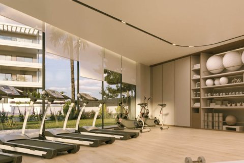 Sunset Village Torrevieja, Alicante, Spānijā Nr. 151219 - attēls 3