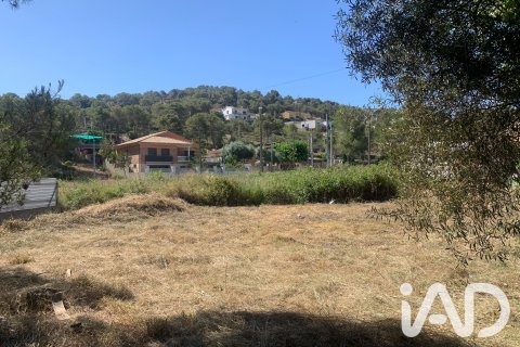 Land zum Verkauf in Canyelles, Barcelona, Spanien 589 m2 Nr. 196586 - Foto 8