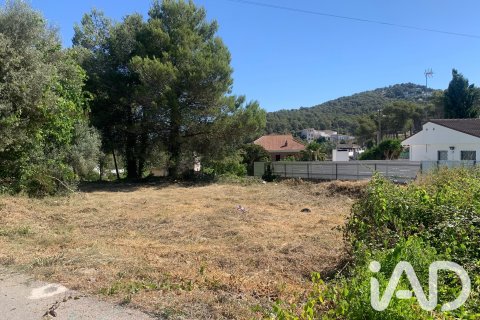 Land zum Verkauf in Canyelles, Barcelona, Spanien 589 m2 Nr. 196586 - Foto 5