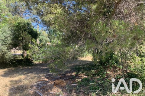Land zum Verkauf in Canyelles, Barcelona, Spanien 589 m2 Nr. 196586 - Foto 13