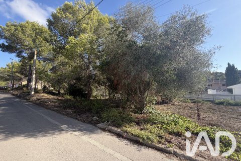 Land zum Verkauf in Canyelles, Barcelona, Spanien 589 m2 Nr. 196586 - Foto 19