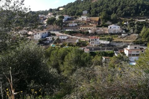 Продажа земельного участка в Кастеллет-и-ла-Горналь, Барселона, Испания №191516 - фото 11