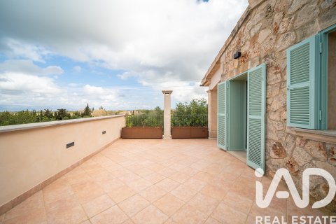 Продажа дома в Синеу, Майорка, Испания 3 спальни, 370м2 №172780 - фото 9