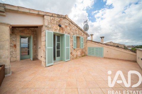 Продажа дома в Синеу, Майорка, Испания 3 спальни, 370м2 №172780 - фото 10