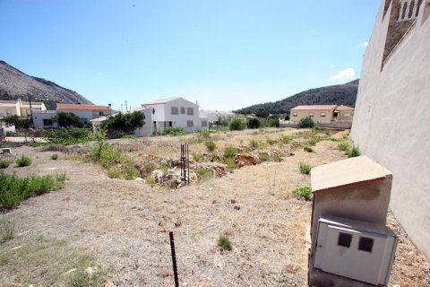 Terreno a Benigembla, Alicante, Spagna N° 183971
