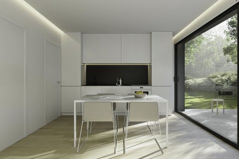 Orquidea w Alfaz del Pi, Alicante, Hiszpania nr 154605 – zdjęcie 3