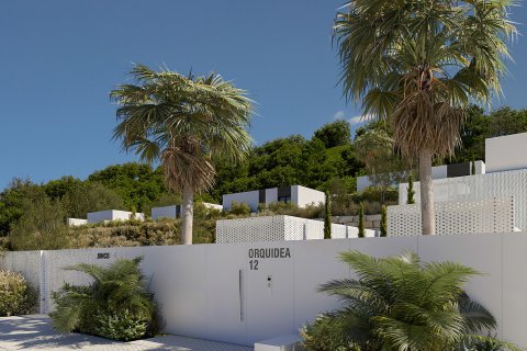 Orquidea w Alfaz del Pi, Alicante, Hiszpania nr 154605 – zdjęcie 4