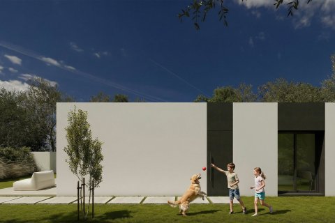 Orquidea w Alfaz del Pi, Alicante, Hiszpania nr 154605 – zdjęcie 9