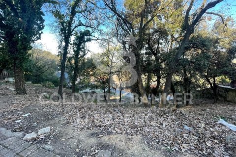 Zemes gabals pārdošanā Sant Cugat Del Valles, Barcelona, Spānijā 1555 m2 Nr. 160429 - attēls 3