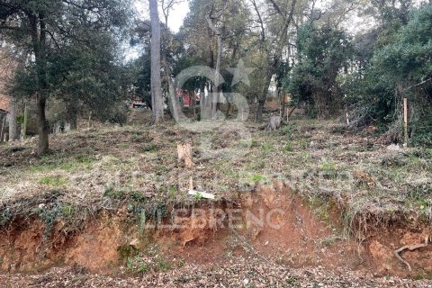 Land zum Verkauf in Barcelona, Spanien 451 m2 Nr. 160427 - Foto 3