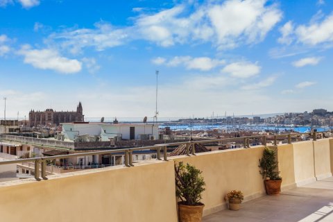Apartament Palma de Majorca, Mallorca, Hiszpania 3 sypialnie, 110 mkw. nr 137536 – zdjęcie 13