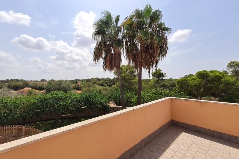 Finca à vendre Llucmajor, Mallorca, Espagne, 6 chambres, 448 m2 No. 137531 - photo 16