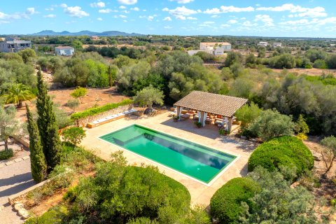 Finka Ses Salines, Mallorca, Hiszpania 5 sypialni, 366 mkw. nr 137535 – zdjęcie 3