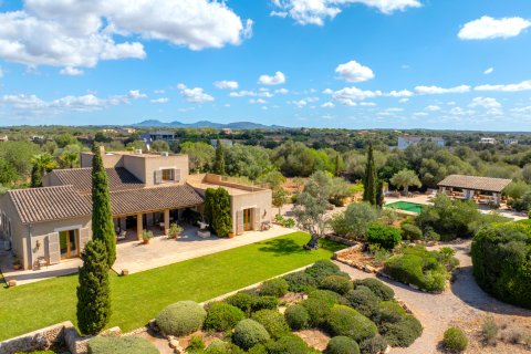 Finka Ses Salines, Mallorca, Hiszpania 5 sypialni, 366 mkw. nr 137535 – zdjęcie 4