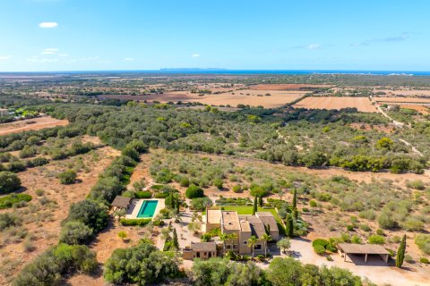 Finka Ses Salines, Mallorca, Hiszpania 5 sypialni, 366 mkw. nr 137535 – zdjęcie 8