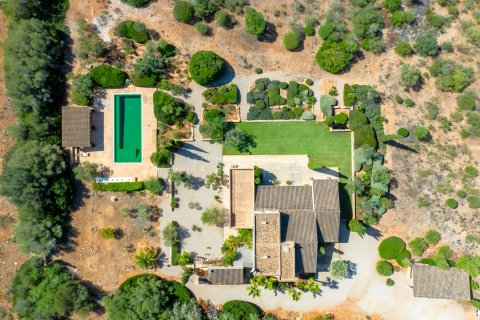 Finka Ses Salines, Mallorca, Hiszpania 5 sypialni, 366 mkw. nr 137535 – zdjęcie 23