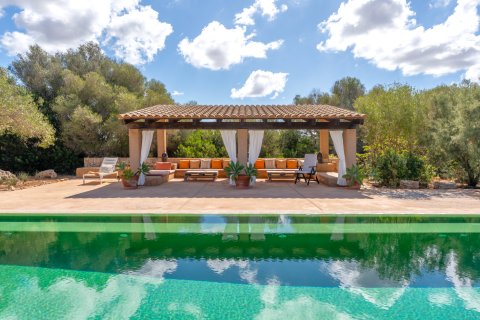 Finka Ses Salines, Mallorca, Hiszpania 5 sypialni, 366 mkw. nr 137535 – zdjęcie 7