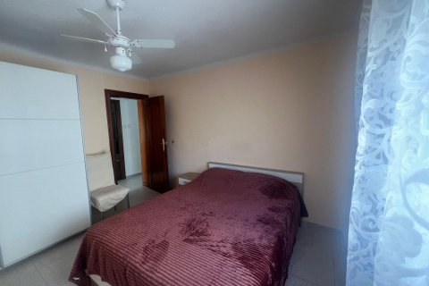 Apartment for rent Alicante, Spain 2 bedrooms, 72 sq.m. No. 139992 - photo 7