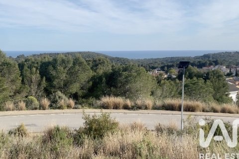 Tomt till salu i El Vendrell, Tarragona, Spanien 1000 kvm. Nr. 185027 - foto 6