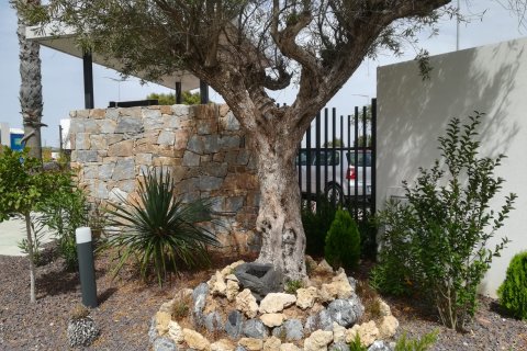 Bungalowi myytävänä Torrevieja, Alicante, Espanja, 3 makuuhuonetta, 74 m2 No. 163523 - kuva 22