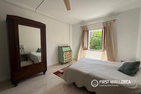 Villa zur Miete in Muro, Mallorca, Spanien 4 Schlafzimmer, 405 m2 Nr. 164777 - Foto 9