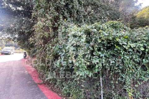 Tontti myytävänä Barcelona, Espanja , 598 m2 No. 156947 - kuva 7