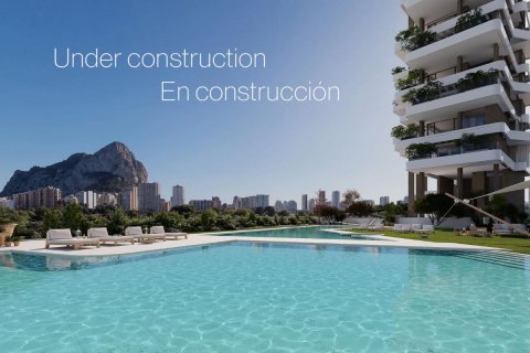 Квартира в Кальпе, Аликанте, Испания 3 спальни, 318м2 №149001