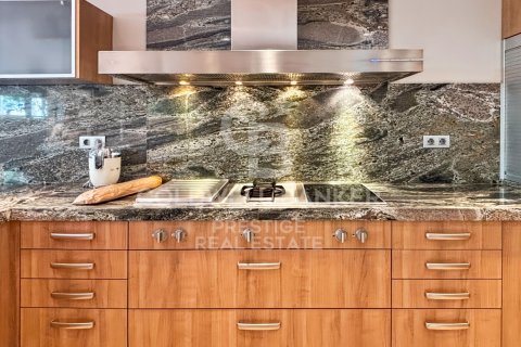 House for sale in Viladecans, Barcelona, Spain 4 bedrooms, 540 sq.m. No. 157738 - photo 15