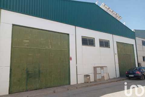 Lokal usługowy w Canada Rosal, Seville, Hiszpania 400 mkw. nr 186102